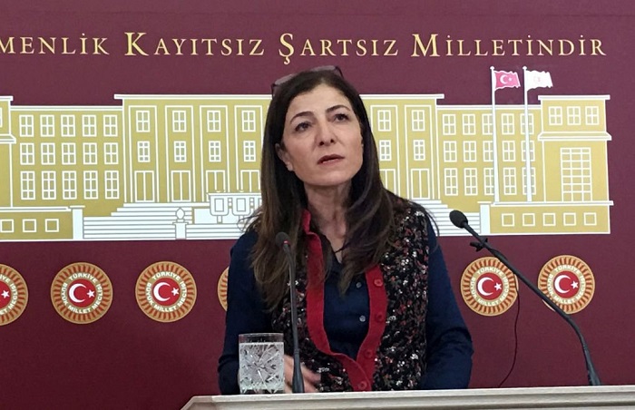 HDP’li Gülüm: “Kanal İstanbul’la şehrin bütün dengesi, yaşam alanları yok edilmeye çalışılıyor”