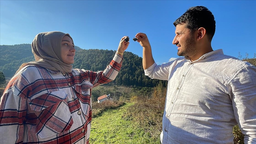 ZONGULDAK – Şehir stresinden kaçan çift, dededen kalma arazide aronya yetiştiriyor