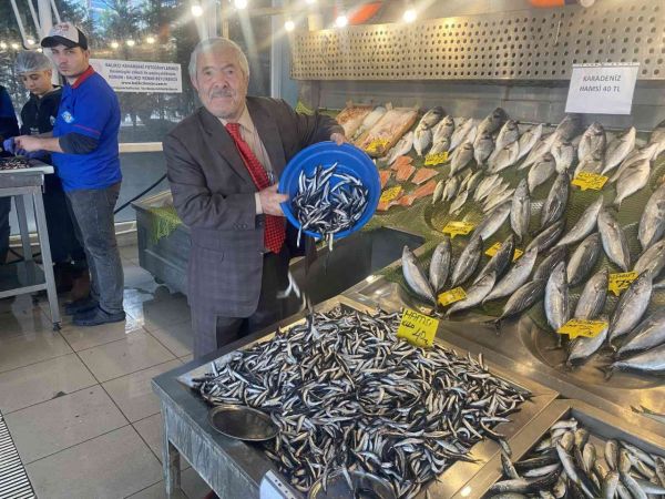 Denizlerde balık bolluğu, hamsi 80 liradan 40’a düştü