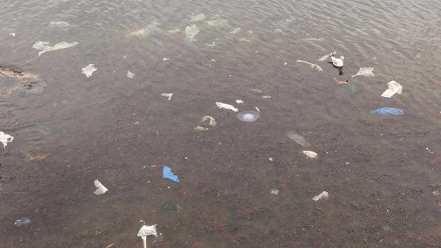 Kadıköy’ü lodos vurdu, Caddebostan sahilini plastik atıklar kapladı