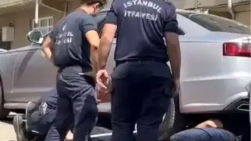 Arnavutköy’de Kedi Kurtarma Operasyonu