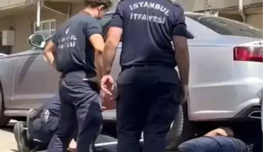 Arnavutköy’de Kedi Kurtarma Operasyonu
