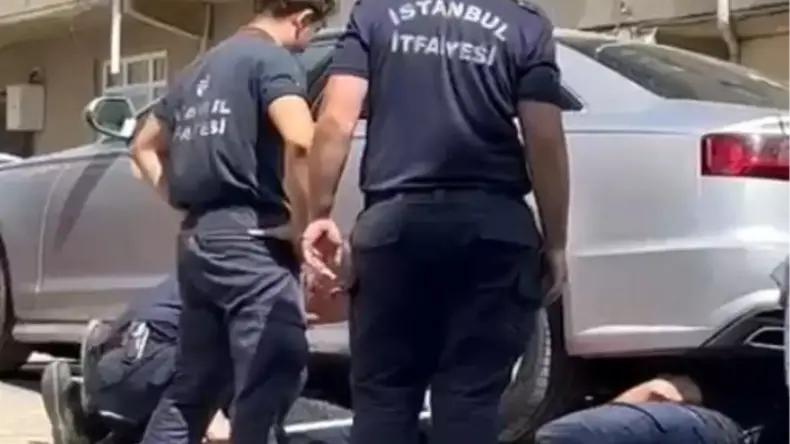 Arnavutköy’de Kedi Kurtarma Operasyonu